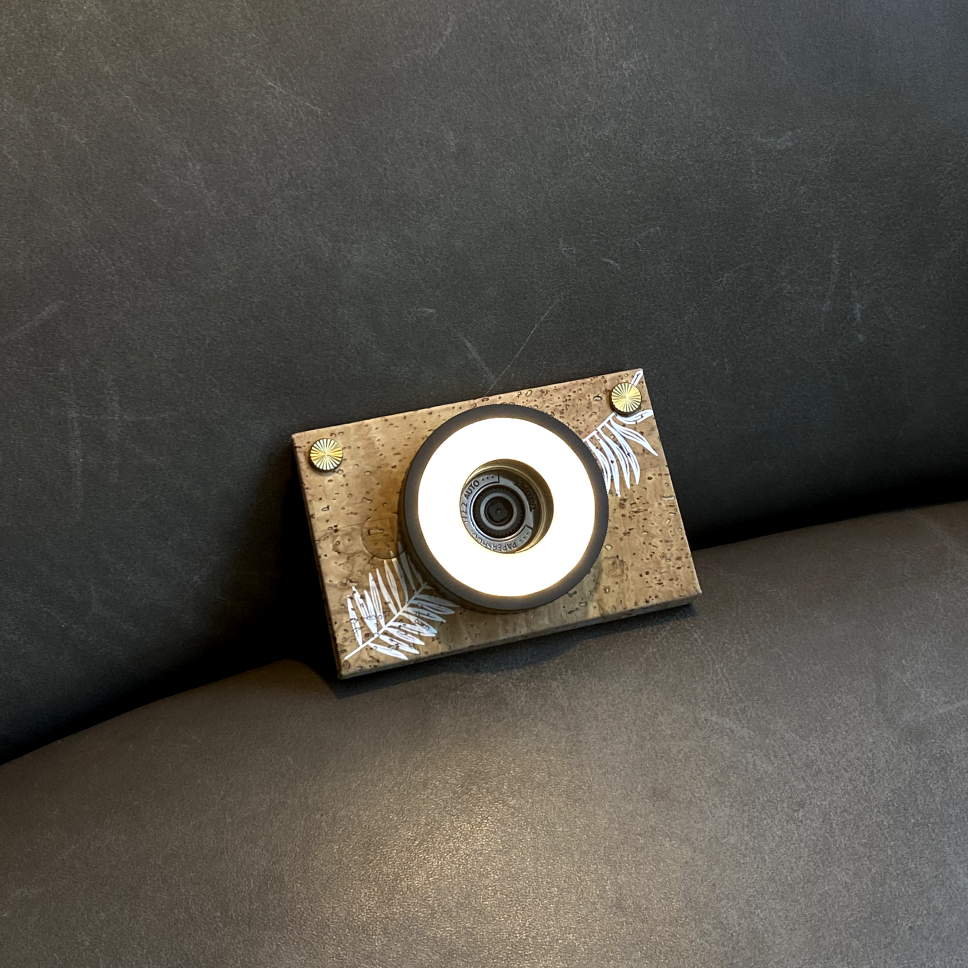Ring Light