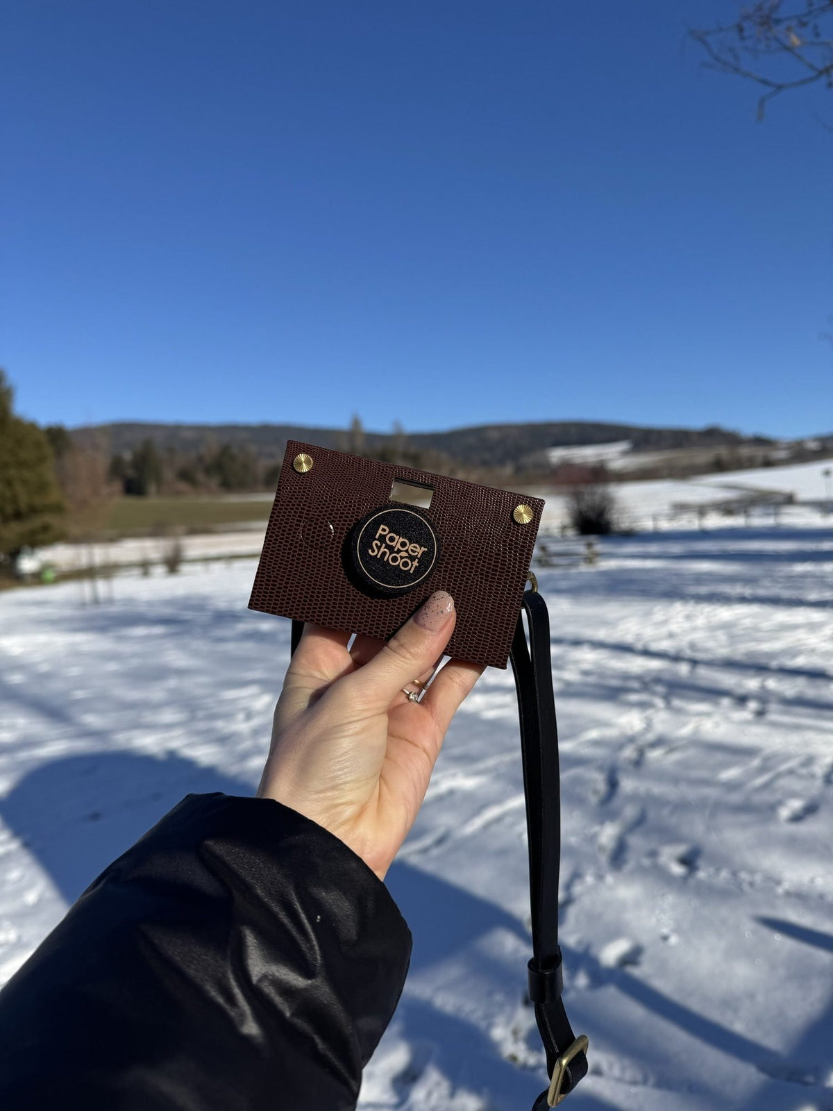 A brown Paper Shoot camera held up in front of a snowy landscape